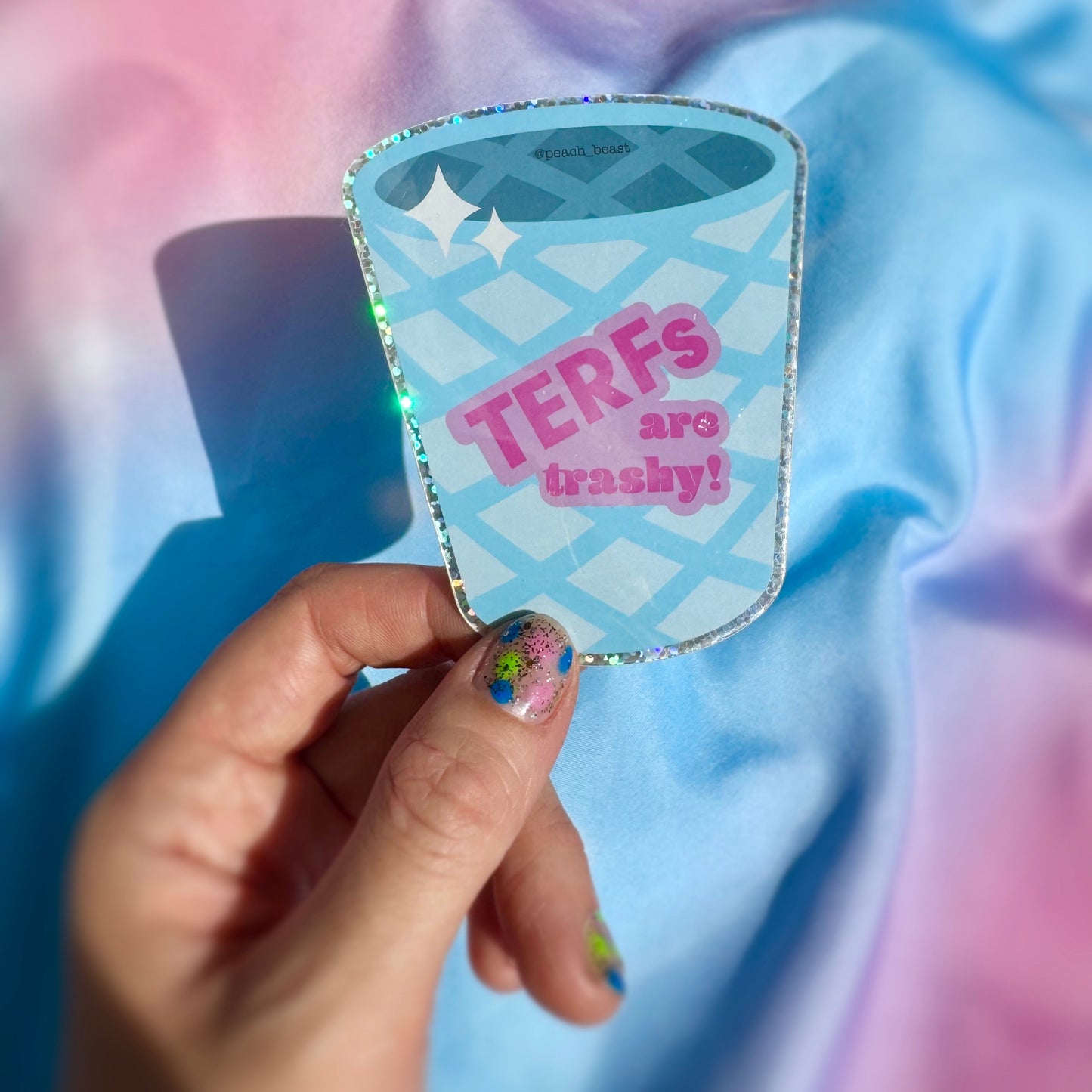 TERFs Are Trashy Sticker