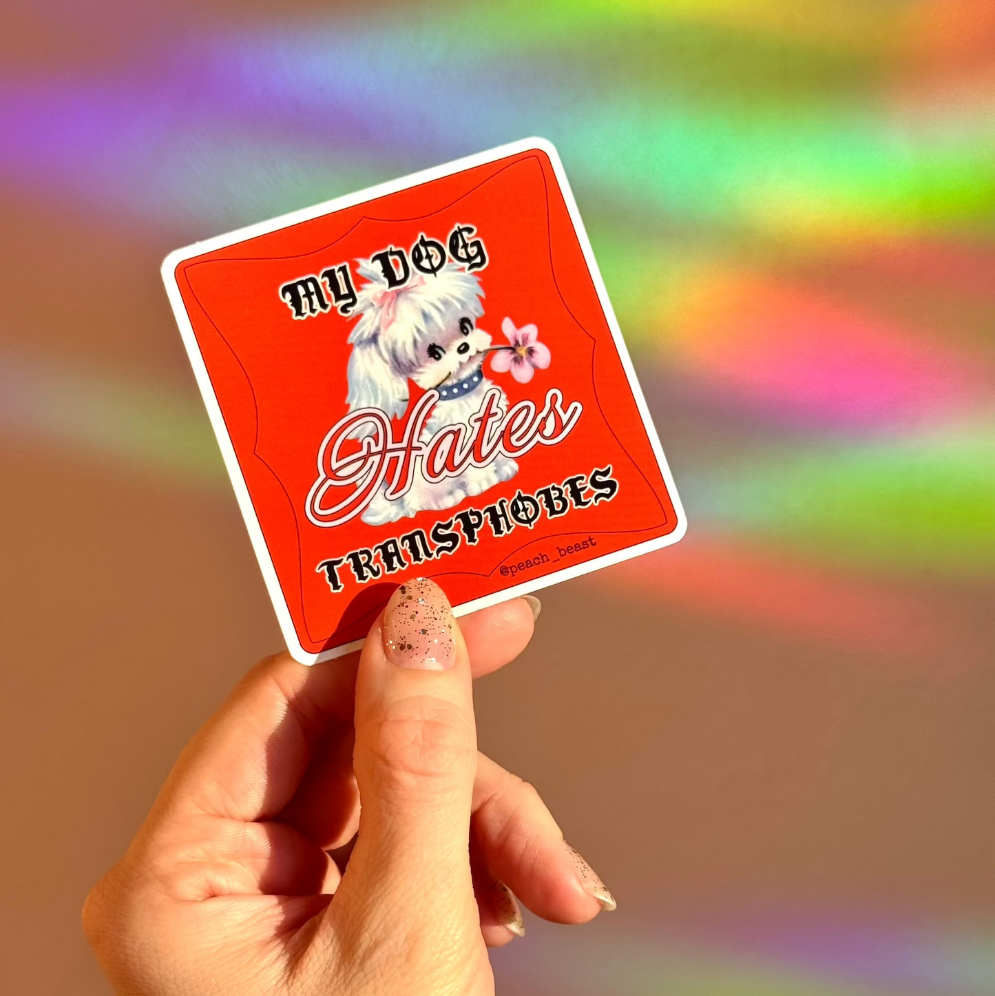 Pets For Queers Sticker