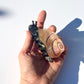 S-Snail Hair Claw