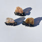 S-Mini Snail Hair Claw