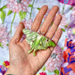 Luna Moth Hair Clip