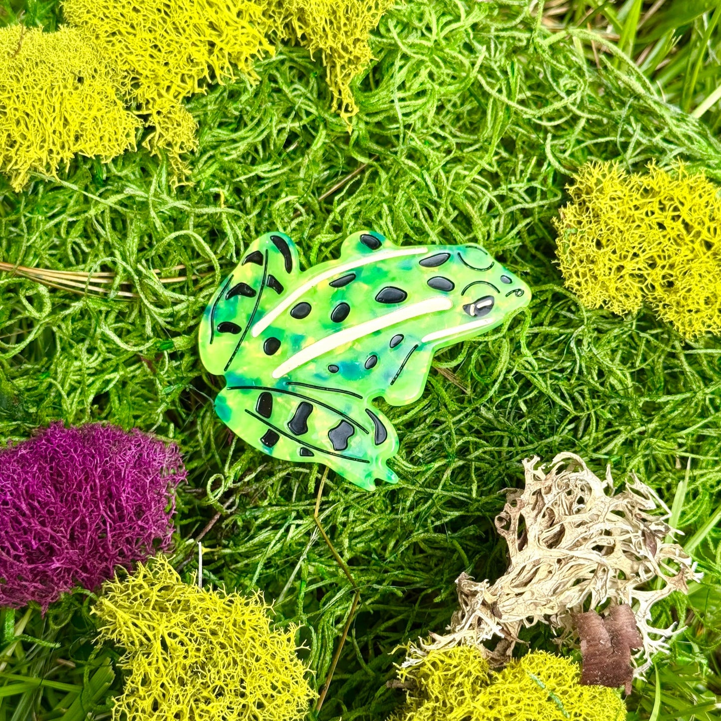 Leopard Frog Hair Clip