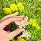 Rosy Maple Moth Hair Clip Set